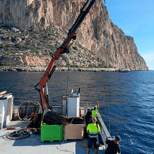 AVRAMAR participa en una nueva extracción de residuos marinos del Brut d´Ifac en la costa alicantina