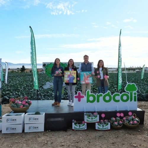 Arranca la XX campaña nacional de promoción del brócoli bajo el lema “Mejor con brócoli”