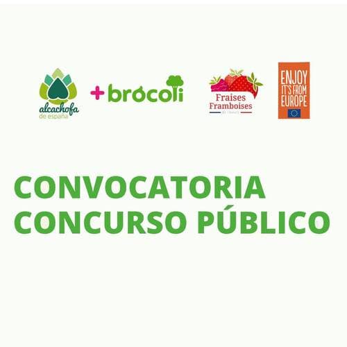 La asociación +Brócoli lanza una convocatoria pública para seleccionar agencia de ejecución
