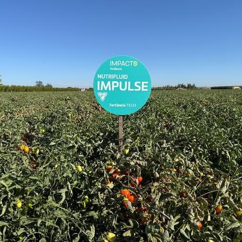 Agraz (Conesa Group) se alía con Fertiberia para reducir emisiones y acelerar la innovación biotecnológica en el cultivo de tomate