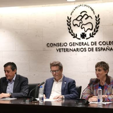 Menos burocracia, más competitividad: el agroalimentario pide regulación eficaz