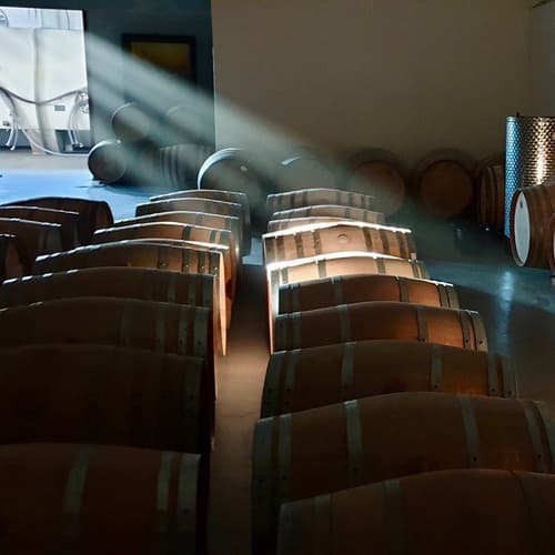 LUTHIER COMPÁS CVC. El nuevo vino de bodegas Territorio Luthier. Guardianes de la historia