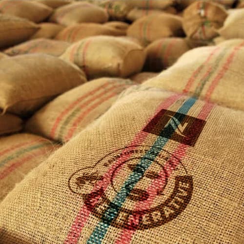 Nespresso anuncia el primer café certificado como regenerativo por Rainforest Alliance