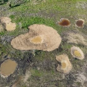 Nestlé colabora con el Consorci del Ter para favorecer la fauna y la conservación del medio natural