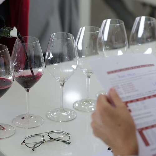 Un comité formado por un grupo de reconocidos expertos colaborará en la Calificación de la Añada 2024 de Ribera del Duero