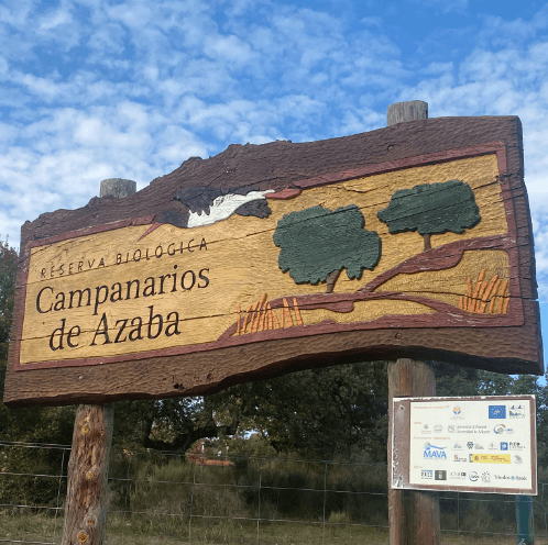 Suntory Global Spirits y Fundación Naturaleza y Hombre impulsan la reforestación y recuperación de humedales en la Reserva Biológica de Campanarios de Azaba (Castilla y León)