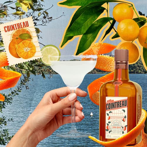 8 días y 8 Margaritas para celebrar el Día Internacional del Margarita