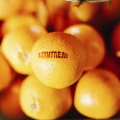 Cointreau acelera la protección del campo con nuevas medidas en materia de sostenibilidad e innovación de los ‘terroirs’
