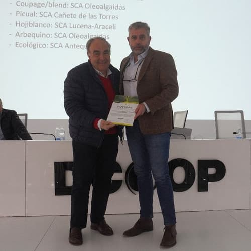 Dcoop premia los mejores aceites tempranos de la campaña 2025/26