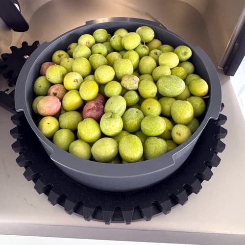 Vidabol Castilla-La Mancha comienza la próxima semana su recogida de aceituna, con una cosecha similar al pasado año