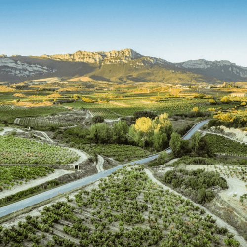 Viñedos El Pacto, en el podio del 25 Salón Peñín de los mejores vinos de España