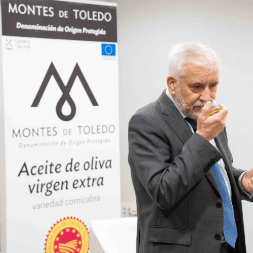 La DOP Montes de Toledo presenta el AOVE de la nueva cosecha 2025/2026 y destaca su excelente calidad