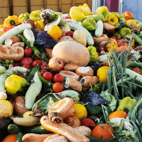 La revalorización de alimentos: transformar residuos en recursos para un sistema alimentario más sostenible