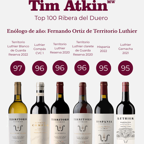 Territorio Luthier protagonista del año en Ribera del Duero según Tim Atkin: Enólogo del año y 6 vinos por encima de 95 puntos