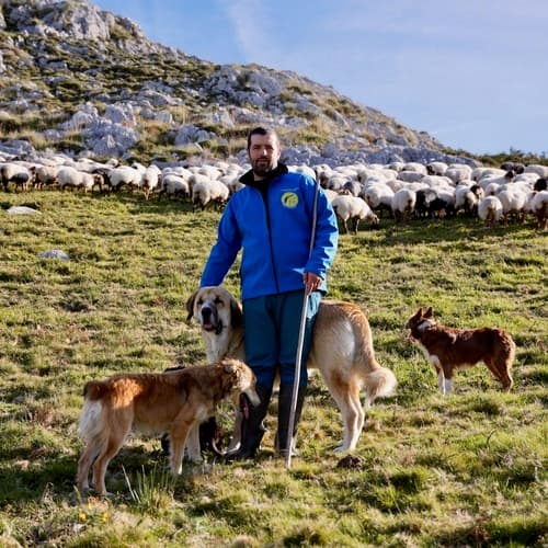 Alimerka refuerza su apoyo a la ganadería de montaña con la novena campaña de lechazos Pro-Biodiversidad