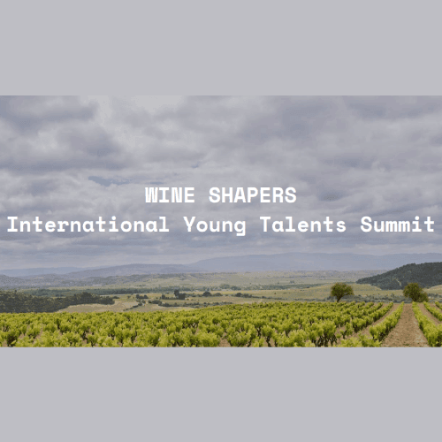 Jóvenes elaboradores y elaboradoras de todo el mundo, rutas enológicas por Getaria y Rioja Alavesa y experiencias gastronómicas en Álava: así es el programa de Wine Shapers