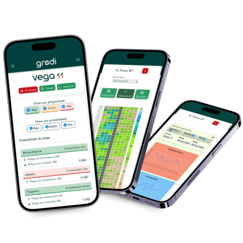Swanlaab lidera una ronda de 2,5M de euros en Grodi para acelerar la digitalización y robotización en los invernaderos, junto a Axon Desarrollo Andalucía y CDTI-Innvierte