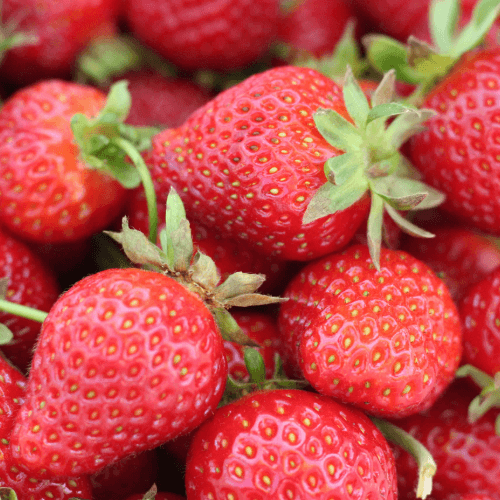 Dia destinará 16 millones de euros a la compra de fresas de origen 100% local para apoyar a la agricultura española esta temporada