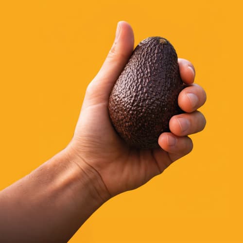 El aguacate y el mango europeos dan un paso al frente para competir en los grandes mercados del continente