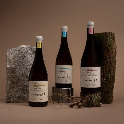 Paco & Lola desvela el origen del mejor vino blanco de España: así nace Prime Orixe