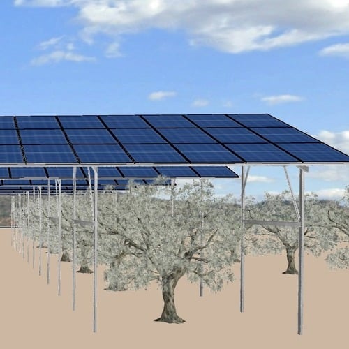 ACESUR impulsa en Jaén uno de los mayores proyectos de agrivoltaica en España