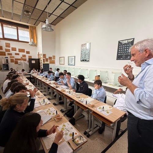 Aprender a catar AOVE desde la base: la DOP Montes de Toledo forma a estudiantes de hostelería en Bilbao