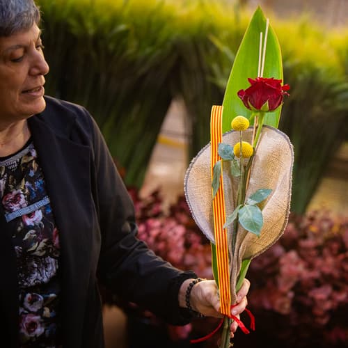 Mercabarna-flor augura un Sant Jordi récord en las calles