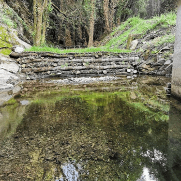 Nestlé Waters fomenta la regeneración del agua