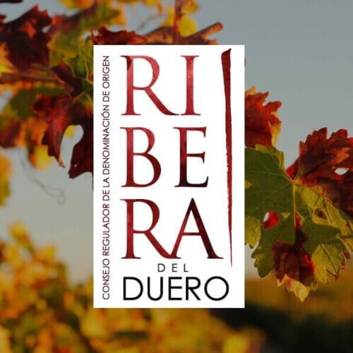 El presidente del Consejo Regulador de la D.O. Ribera del Duero reclama en una tribuna ordenar la coexistencia con la ganadería intensiva
