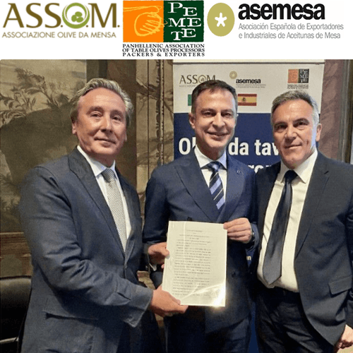 Nace EFOI, la nueva voz europea de la aceituna de mesa frente a los desafíos comerciales internacionales