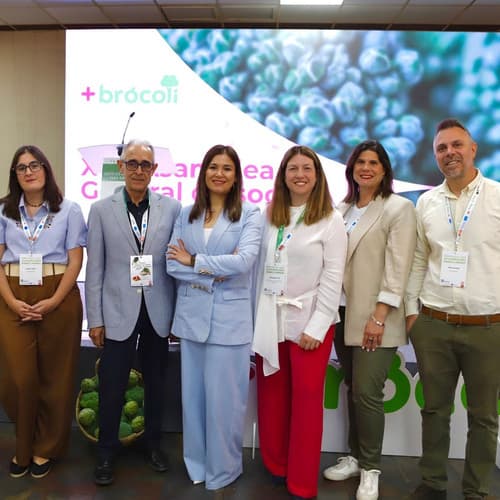 +Brócoli afianza su crecimiento en 2026 y refuerza su proyección nacional e internacional