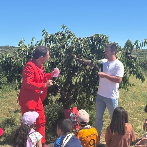 La marca colectiva ‘Cereza de Milagro’ reivindica el producto local con una producción prevista de más de medio millón de kilos en la presente campaña