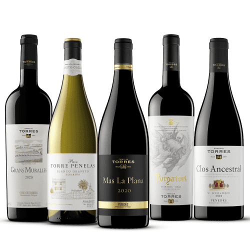 Familia Torres refuerza la excelencia de sus proyectos en distintas DO con cinco Oros en los Decanter World Wine Awards 2026
