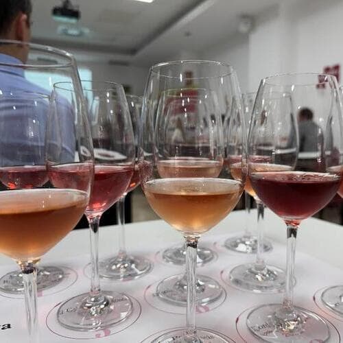 Ribera del Duero refuerza su apuesta por los rosados y claretes con una cata exclusiva para profesionales en Santander