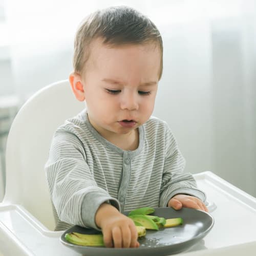 Expertas en Nutrición ponen en Valor el aguacate en la Alimentación complementaria del Bebé