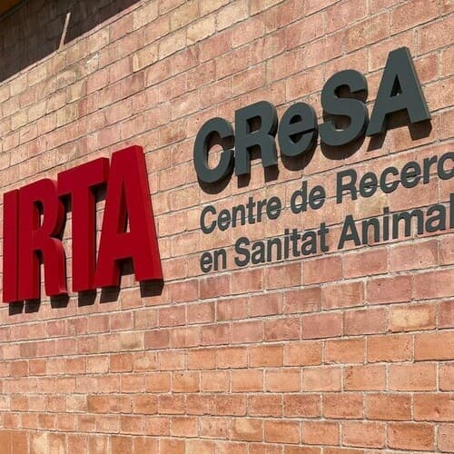 Comunicado de actualización sobre la investigación para esclarecer el origen del brote de peste porcina africana (PPA) en Cataluña