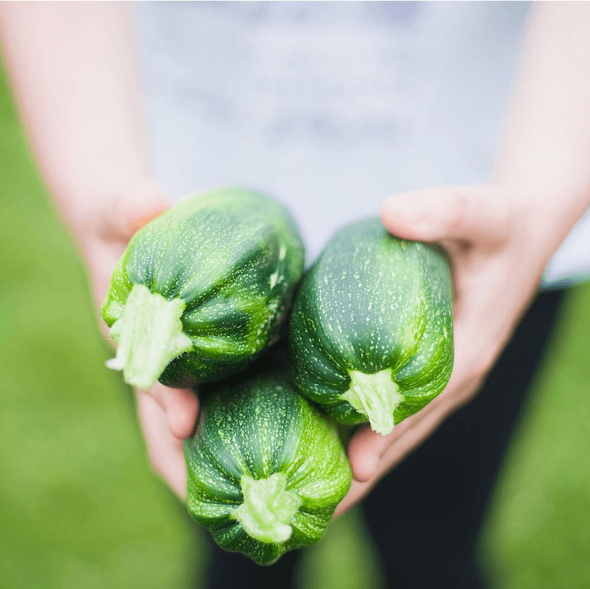 Cinco claves para garantizar la inocuidad de los alimentos este verano